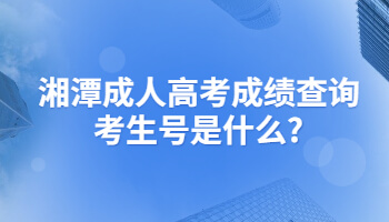 湘潭成人高考成績查詢考生號是什么?