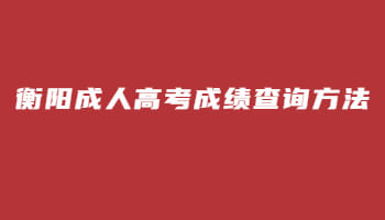 衡陽成人高考成績查詢方法